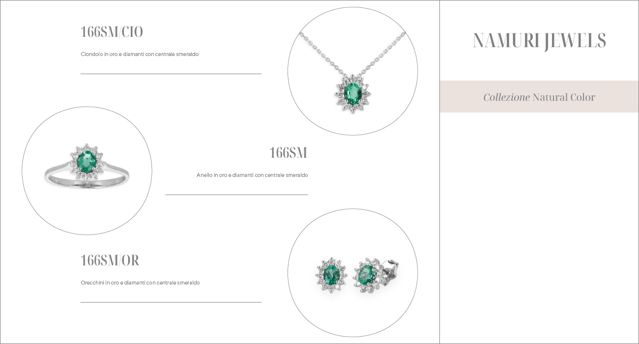 166SM/CIO, 166SM, 166SM/OR