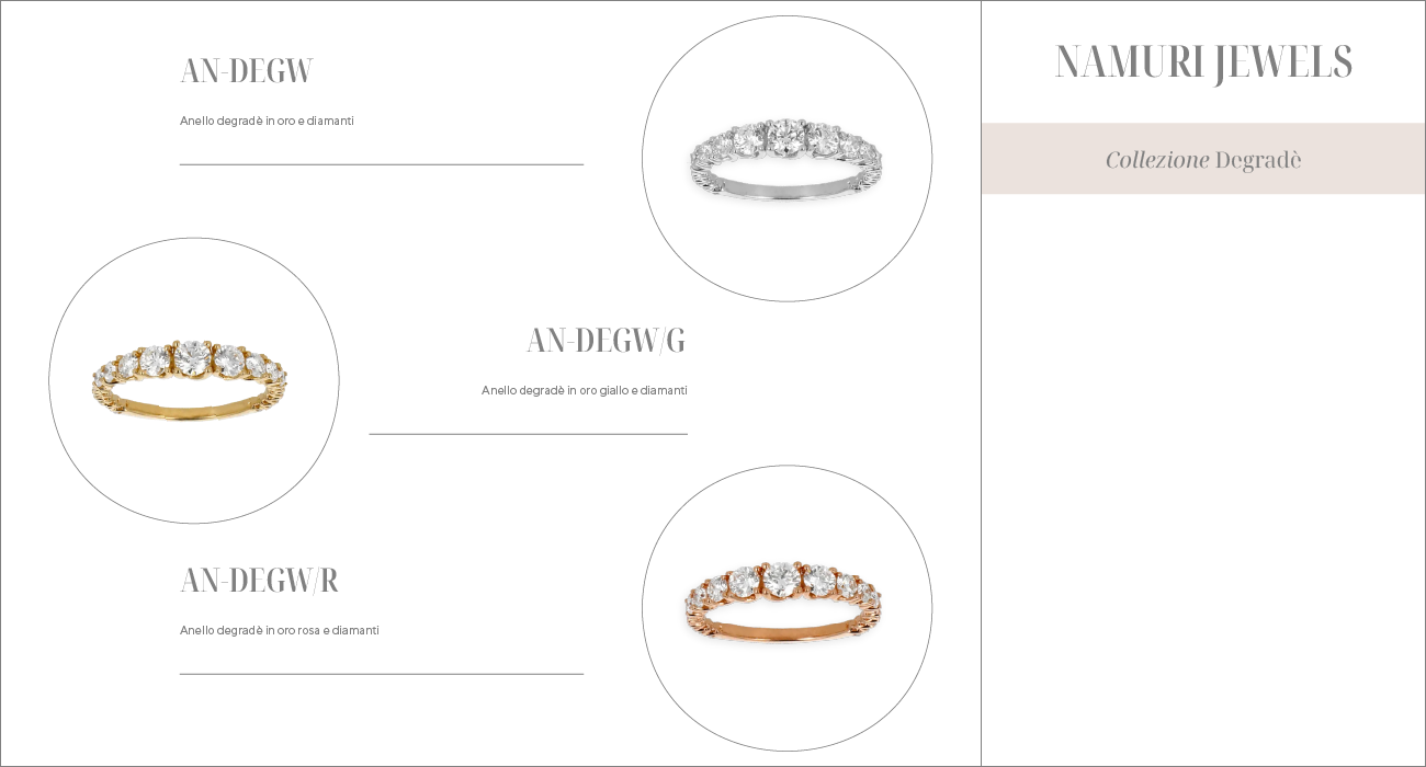 AN-DEGW, AN-DEGW/G, AN-DEGW/R