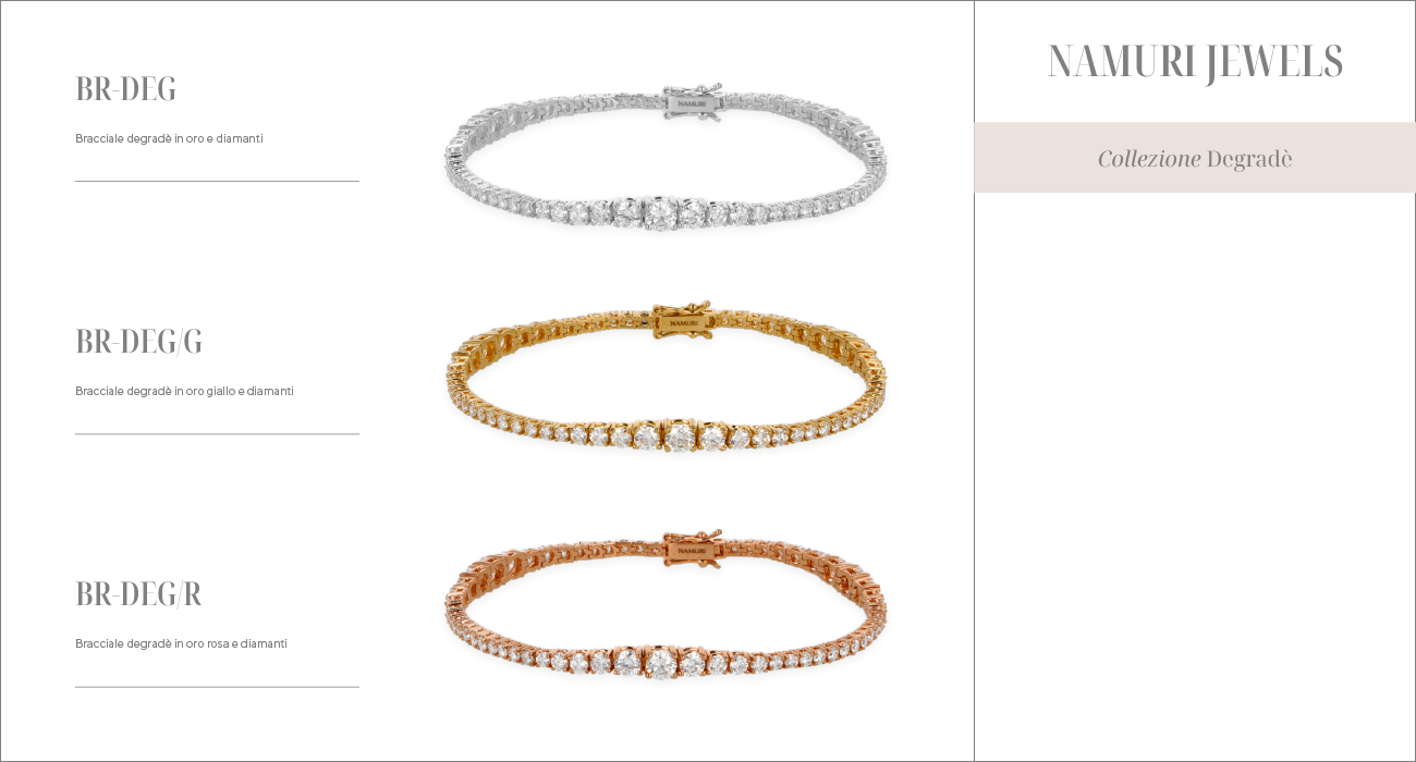 AN-DEGW, AN-DEGW/G, AN-DEGW/R