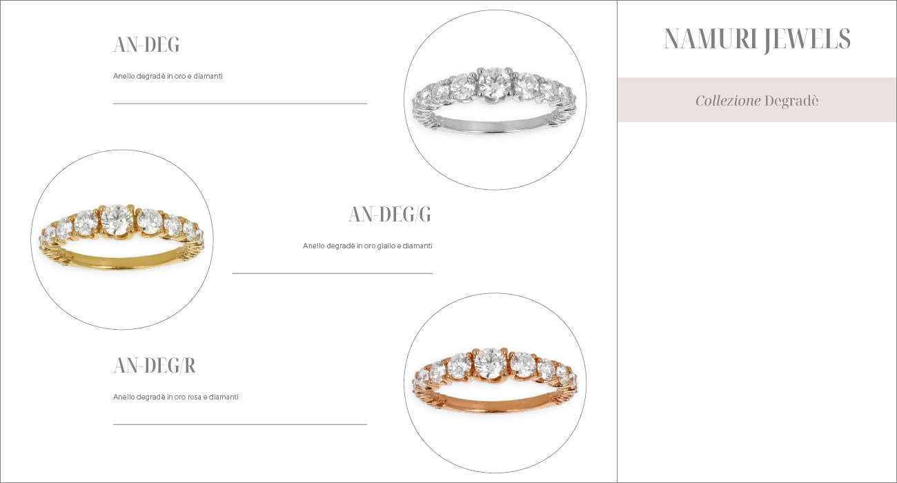 AN-DEGW, AN-DEGW/G, AN-DEGW/R