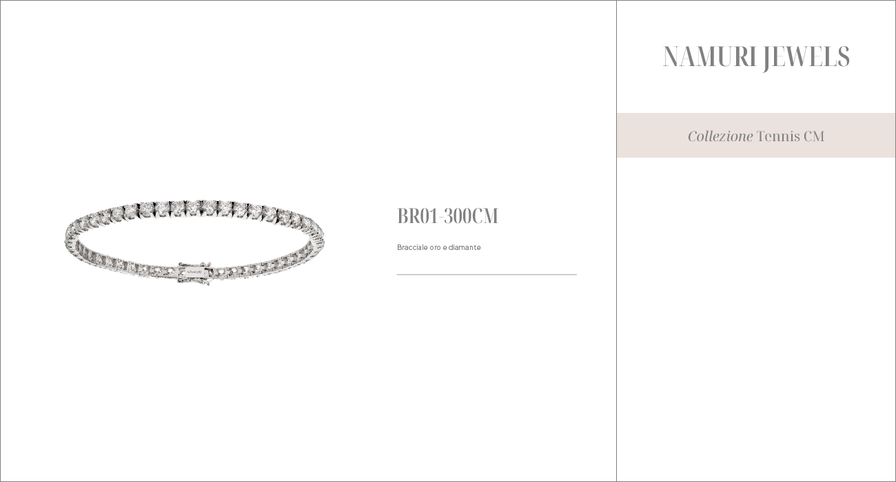 BR01-300CM, BR01-400CM