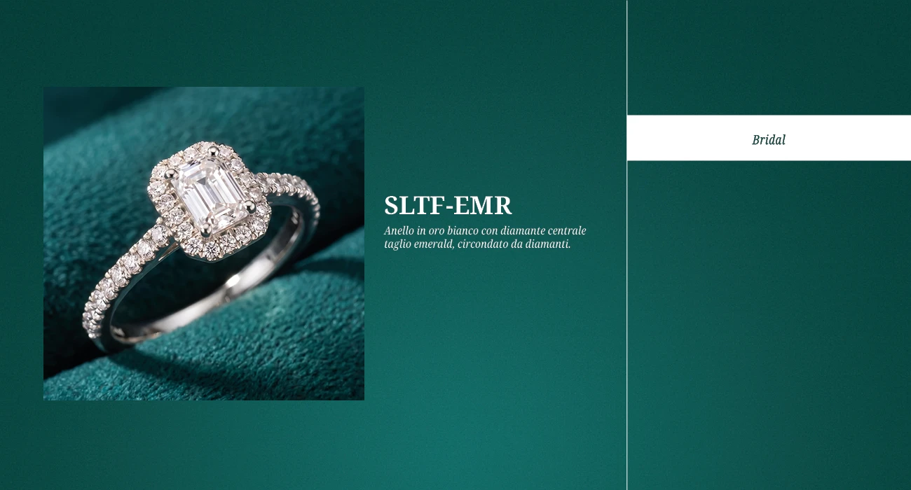 SLTF-EMR