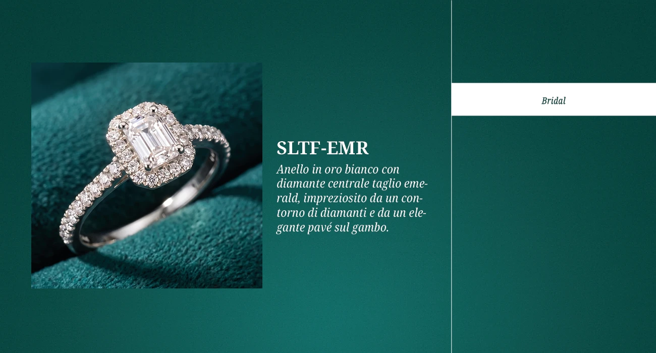 SLTF-EMR